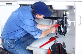 Best Drain Cleaning and Unclogging  in French Island, WI